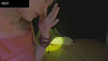 《人类投降派》研究图像