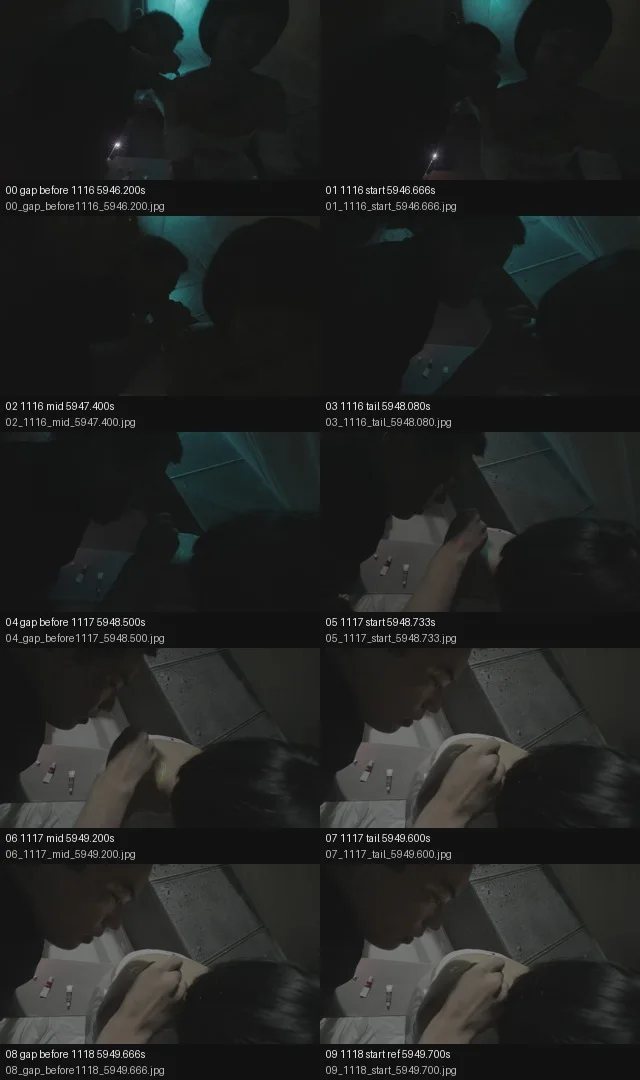 《人类投降派》研究图像