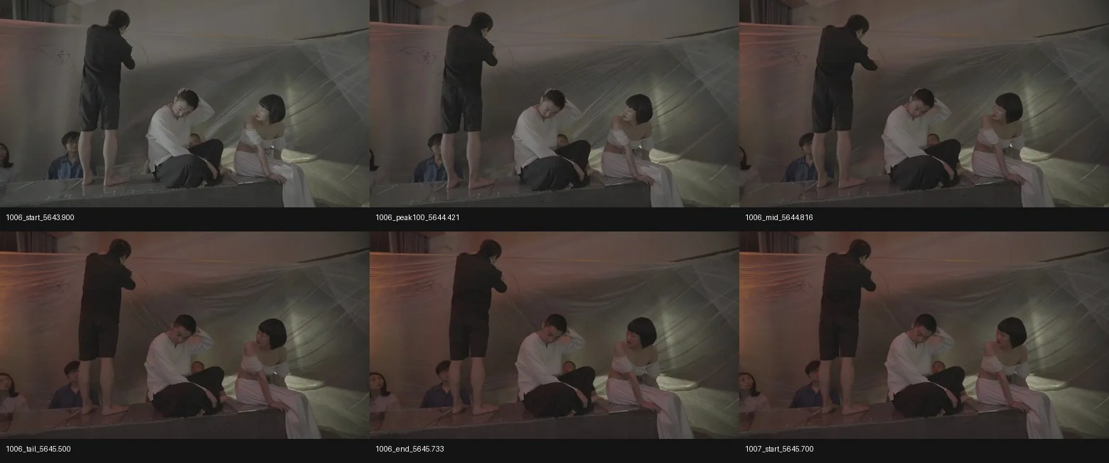 1006_labeled_keyframes_contact.jpg