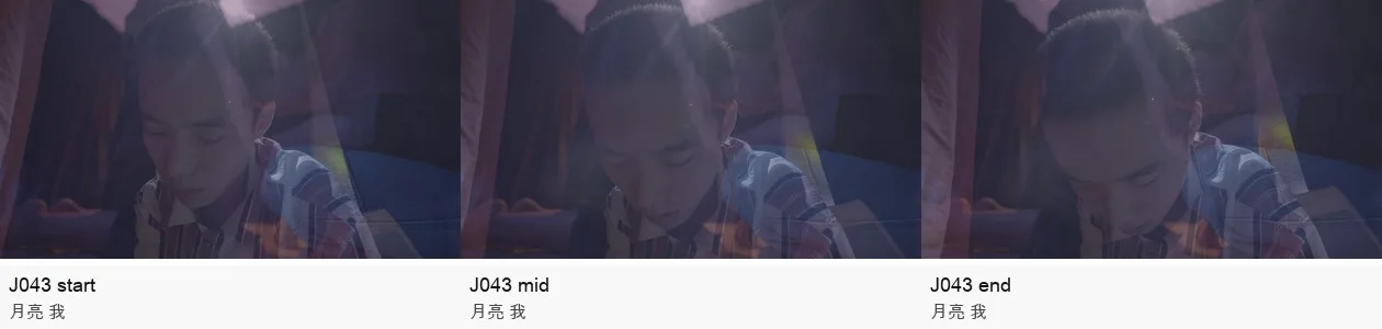 《人类投降派》研究图像