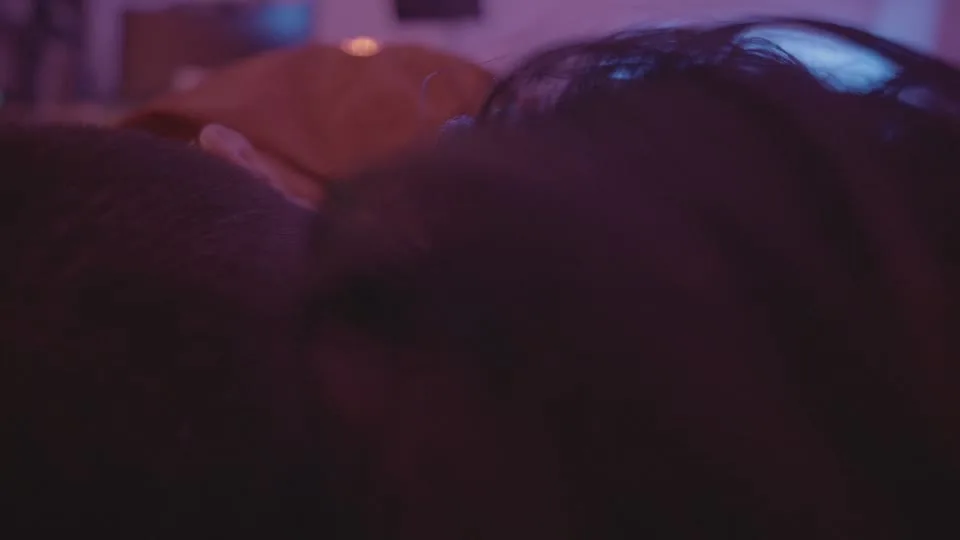 《人类投降派》研究图像