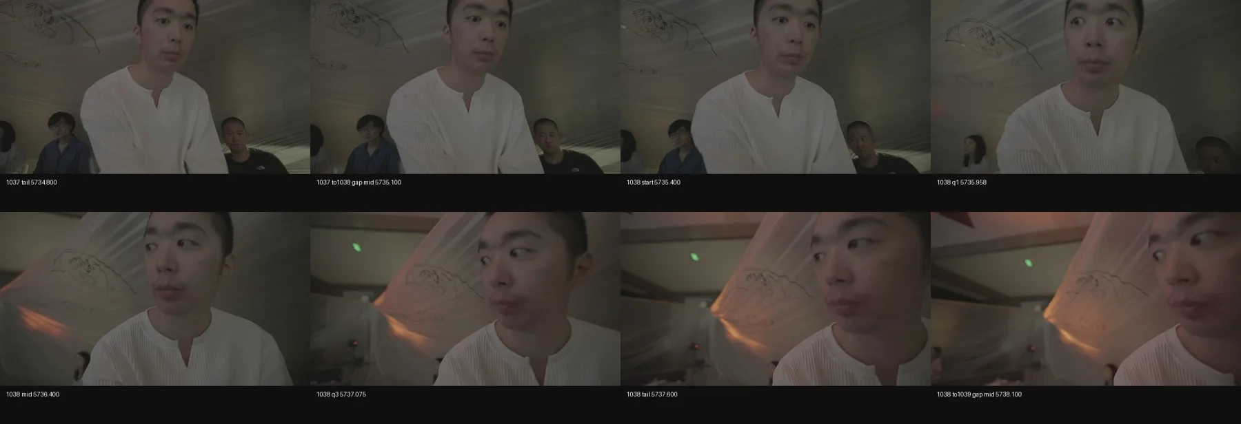 contact_sheet_1038_sentence_labelled.jpg