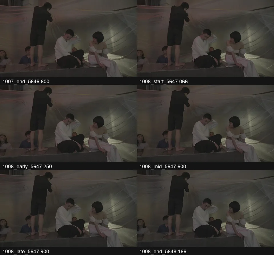 1008_keyframes_labeled_contact.jpg