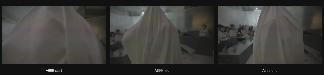A699_triptych.png