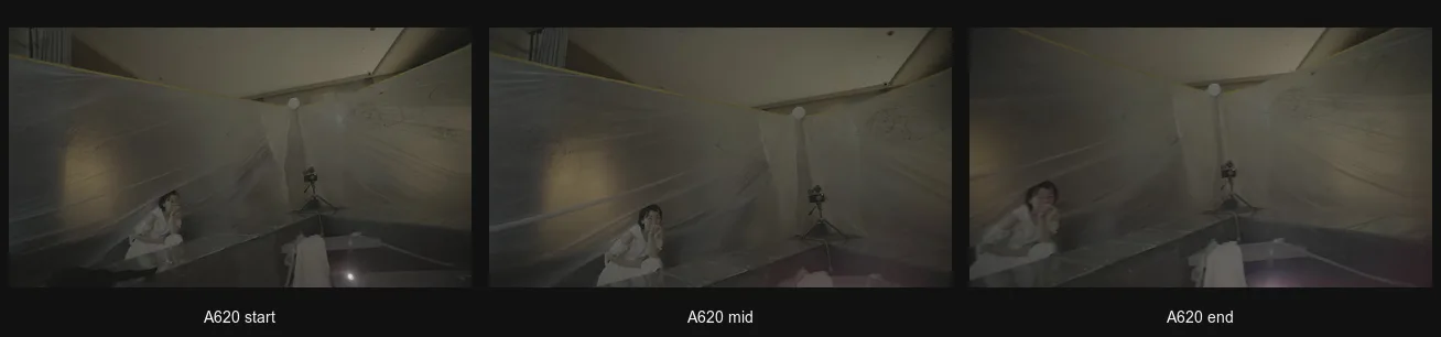 A620_triptych.png