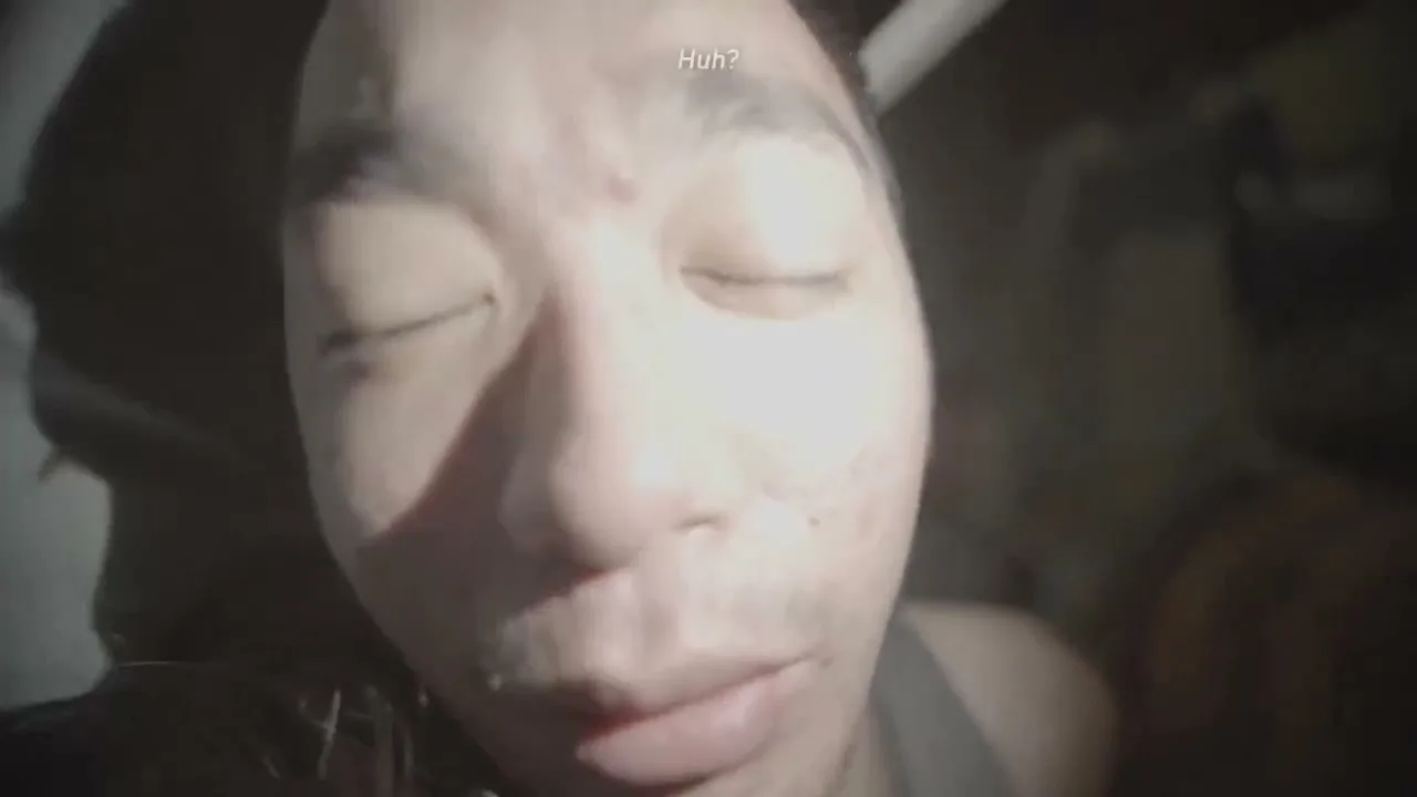 《人类投降派》研究图像