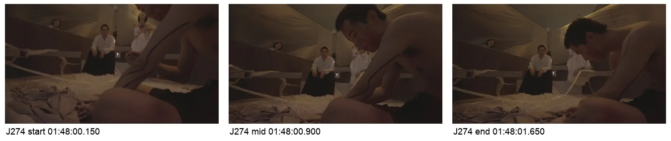 《人类投降派》研究图像