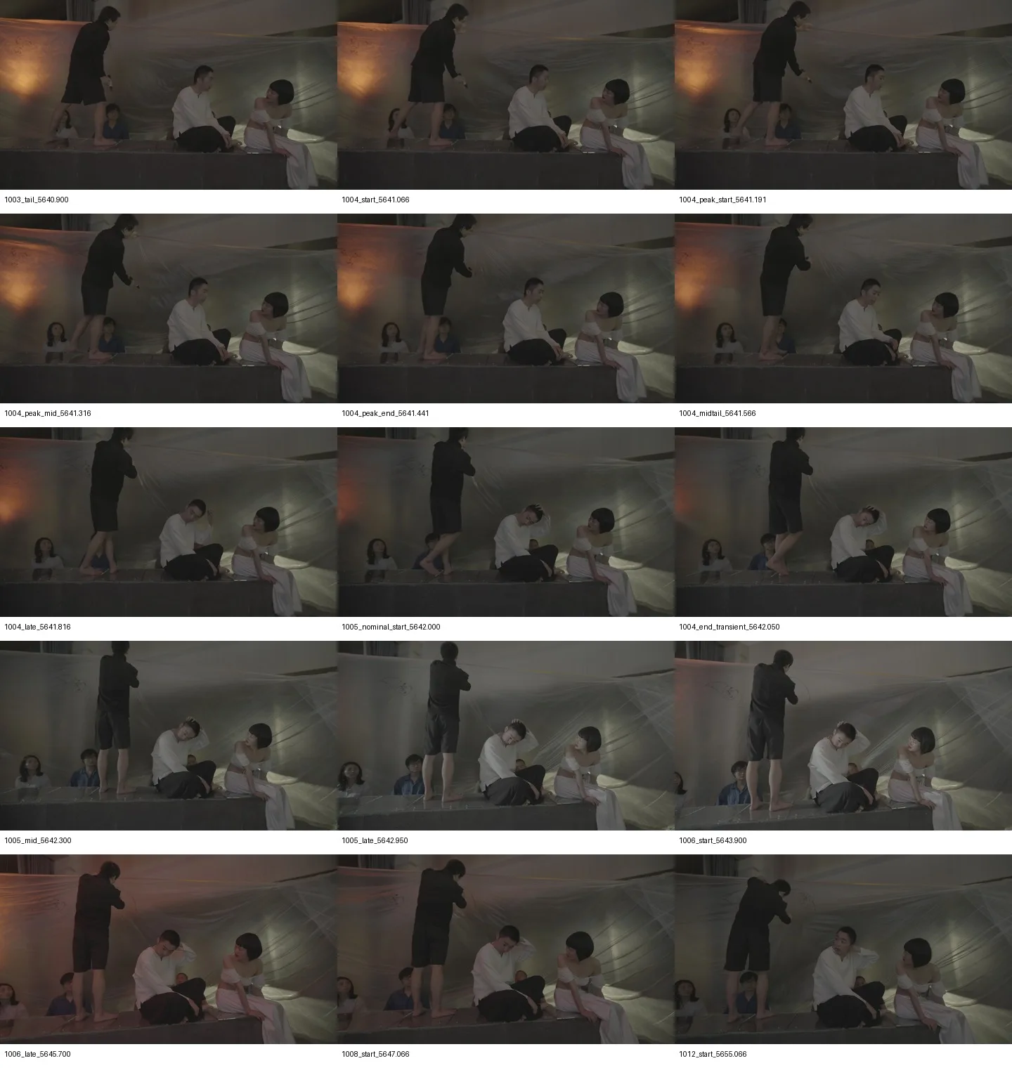 1004_labeled_keyframes_contact.jpg