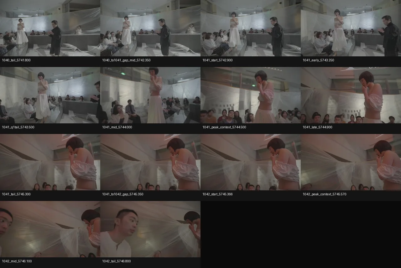 contact_sheet_1041_to1042_labelled.jpg