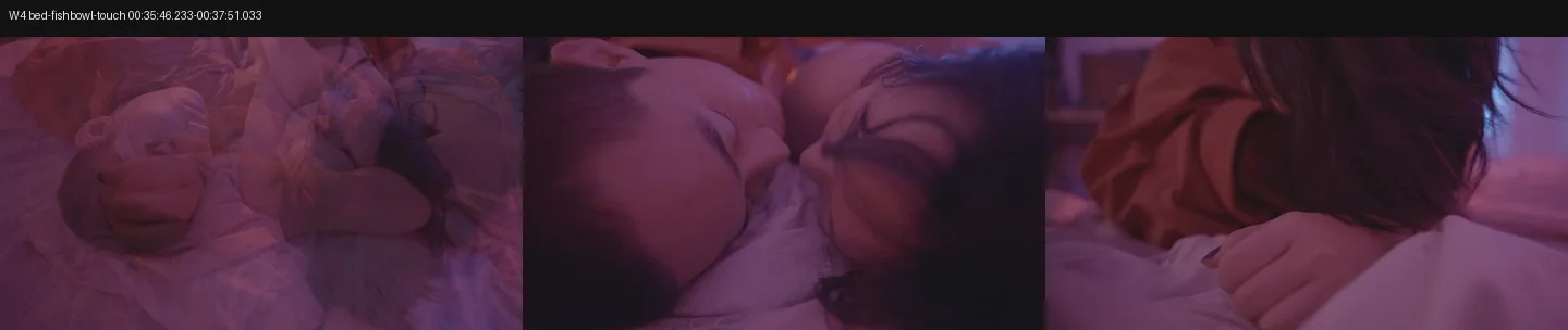 《人类投降派》研究图像
