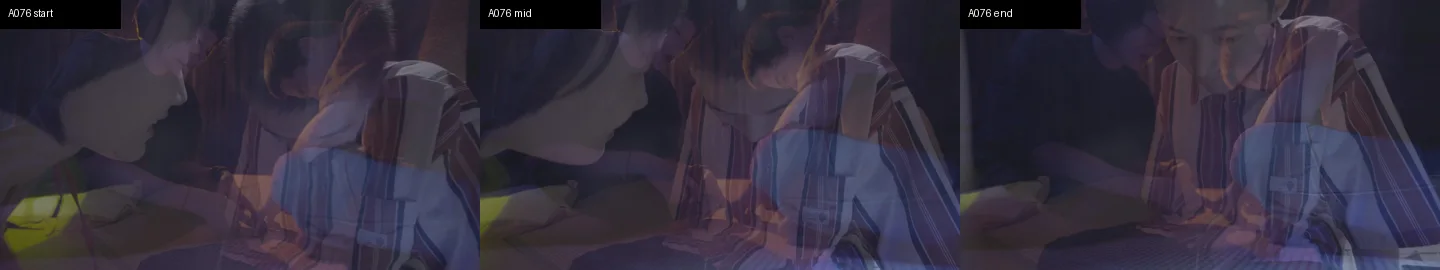 A076_triptych.png