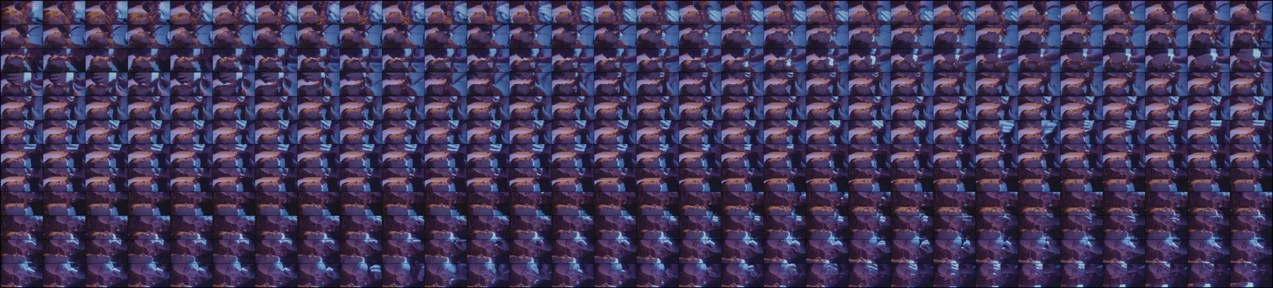contact-3130-3200-12fps.jpg