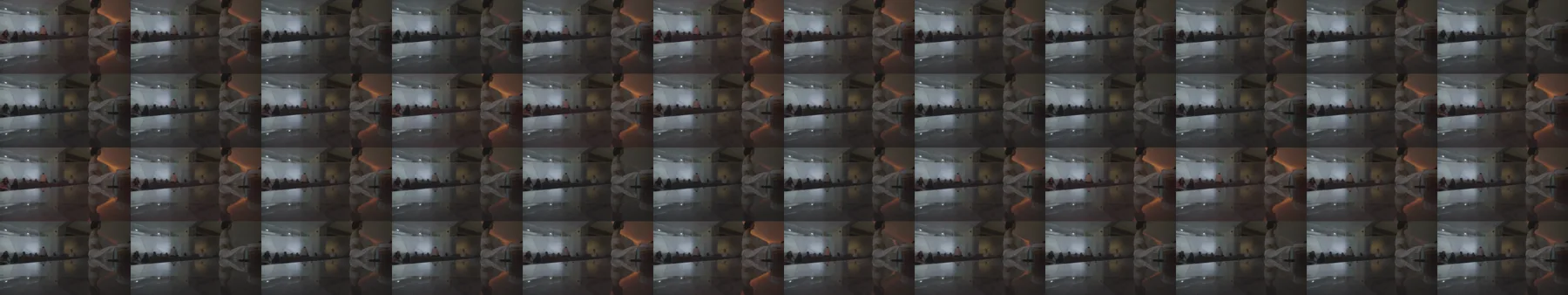 absorb-butterfly-8943-8955-4fps-tile.png