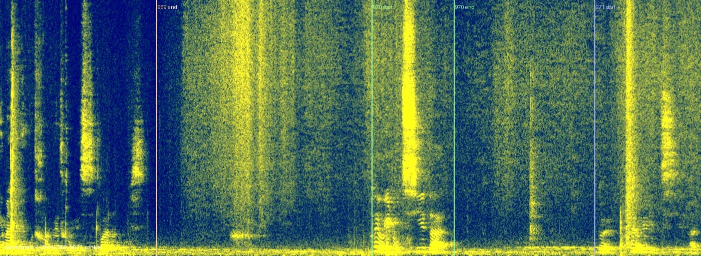 audio_spectrogram_context_970.jpg