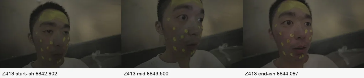 《人类投降派》研究图像