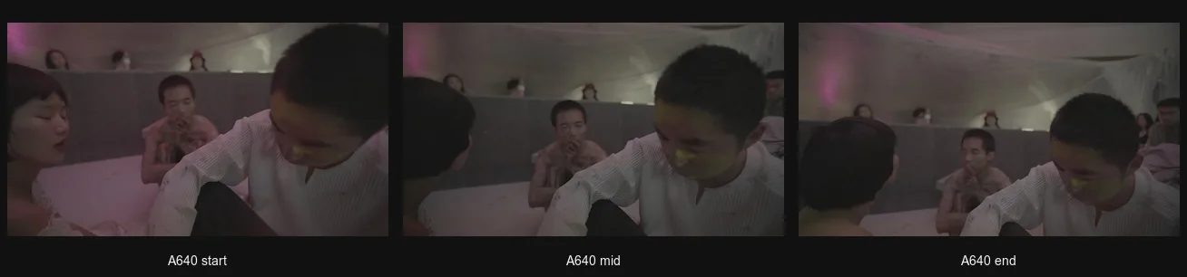 A640_triptych.png