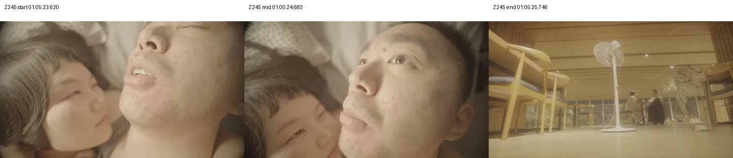 《人类投降派》研究图像