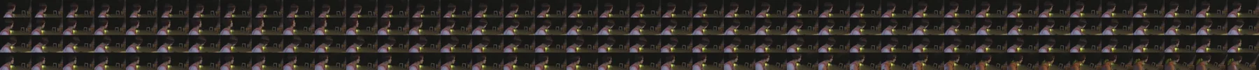 《人类投降派》研究图像