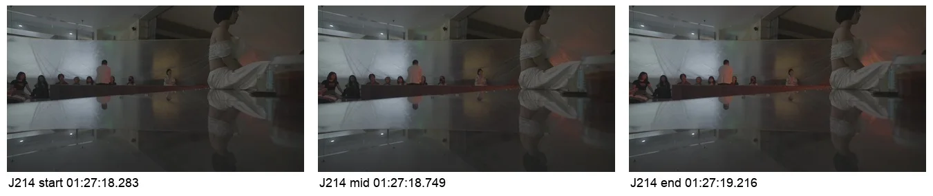 《人类投降派》研究图像