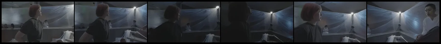 《人类投降派》研究图像