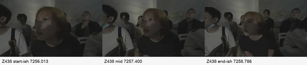 《人类投降派》研究图像