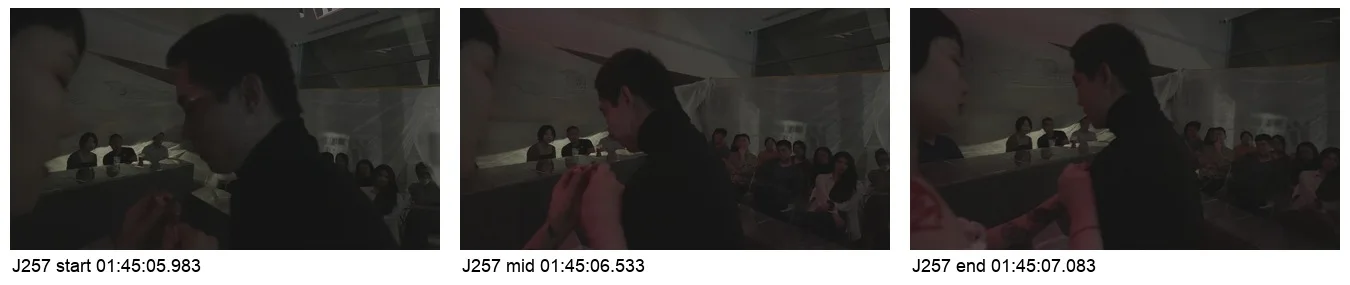 《人类投降派》研究图像