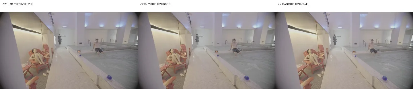 《人类投降派》研究图像