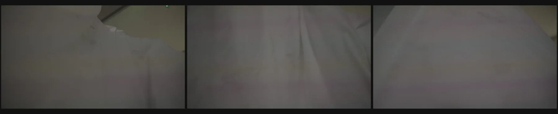 《人类投降派》研究图像