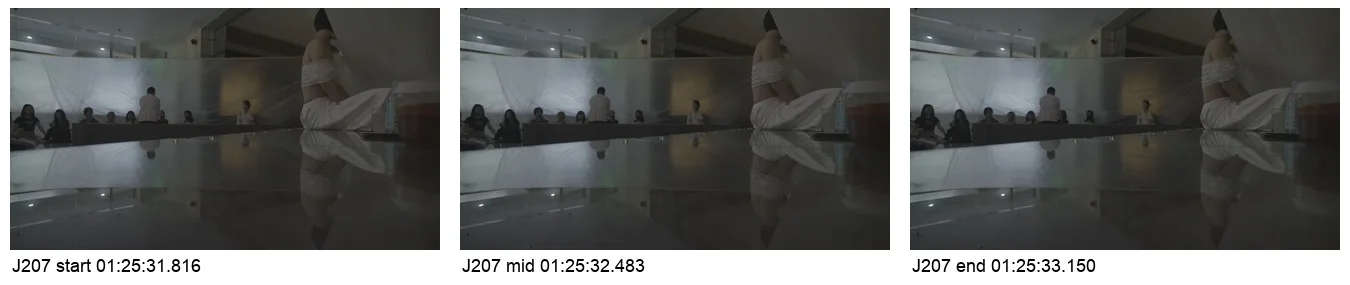 《人类投降派》研究图像