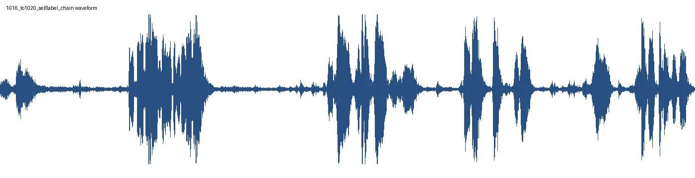 1016_to1020_selflabel_chain_mono_waveform.png