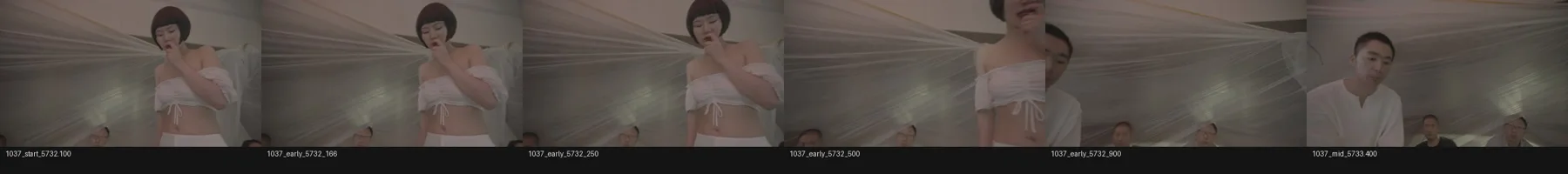 contact_sheet_1037_early_transition_labelled.jpg