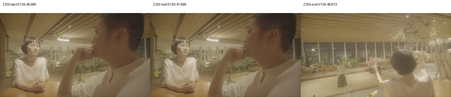 《人类投降派》研究图像