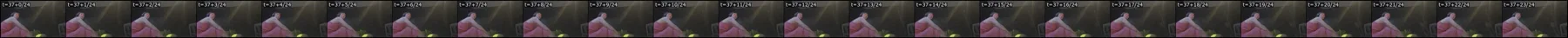 sec_37_24fps_labeled.jpg