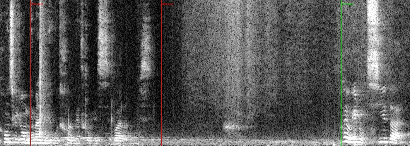 audio_spectrogram_context_969.jpg