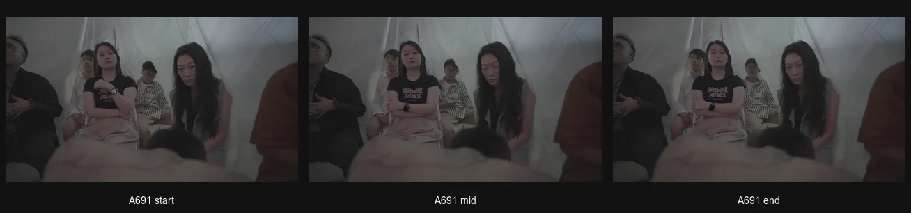A691_triptych.png