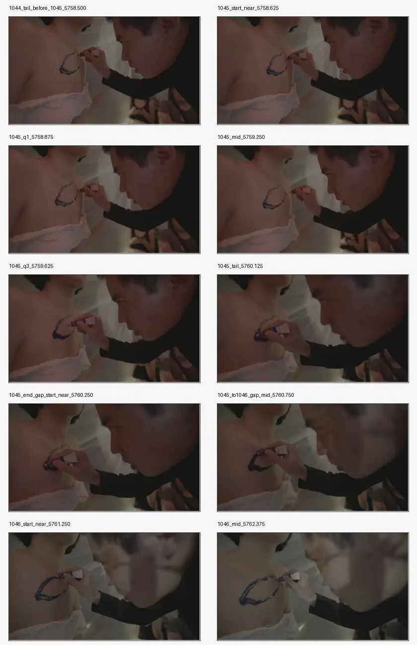 contact_sheet_1045_labelled.jpg
