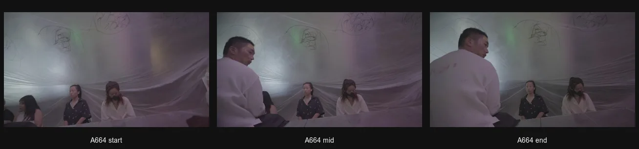 A664_triptych.png