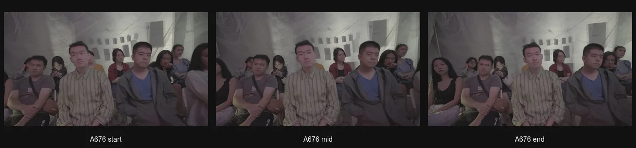 A676_triptych.png