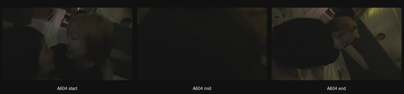 A604_triptych.png
