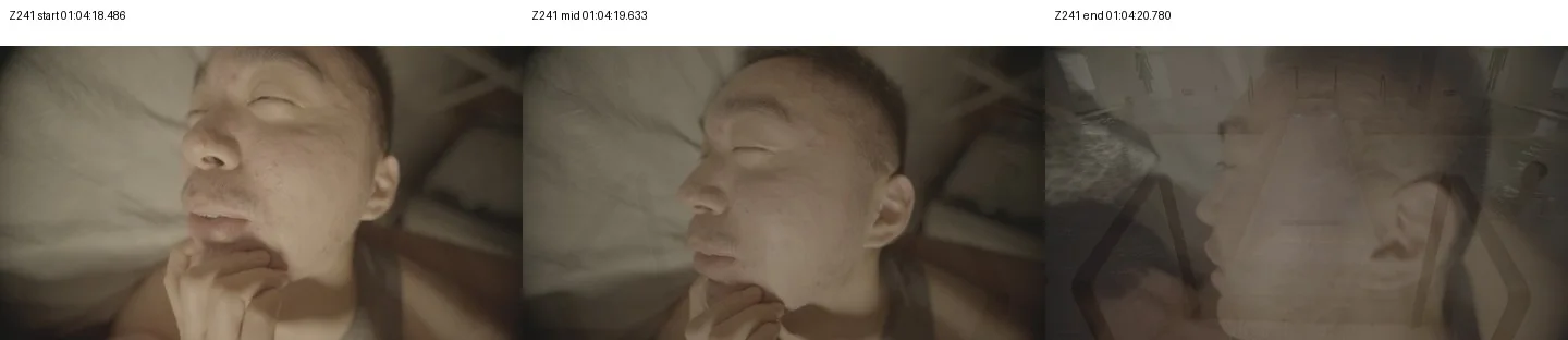 《人类投降派》研究图像