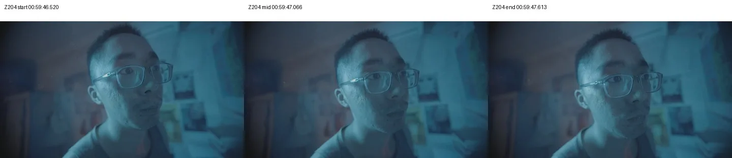 《人类投降派》研究图像