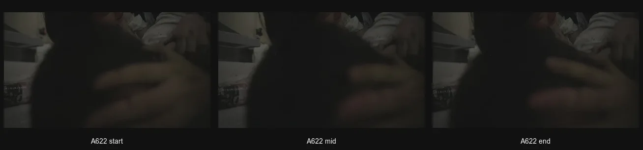 A622_triptych.png