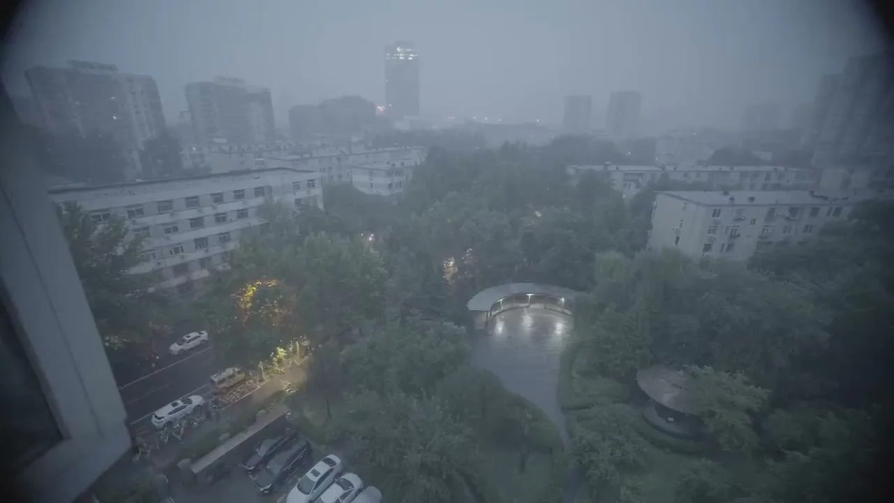 《人类投降派》研究图像