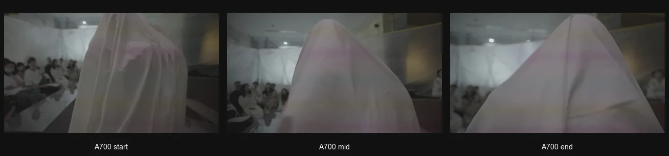 A700_triptych.png