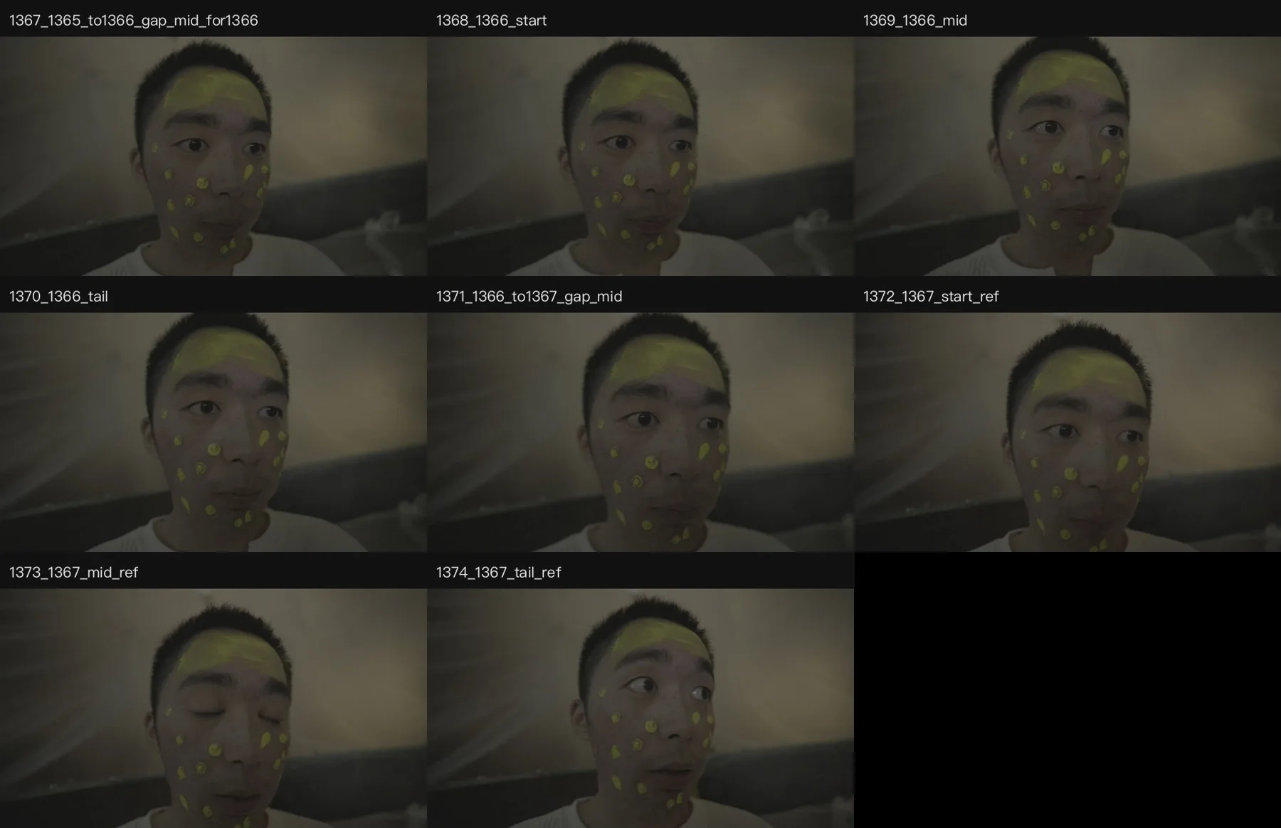 《人类投降派》研究图像