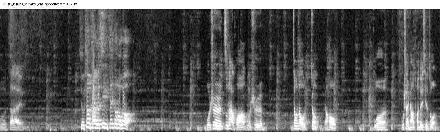 1016_to1020_selflabel_chain_mono_spectrogram.png