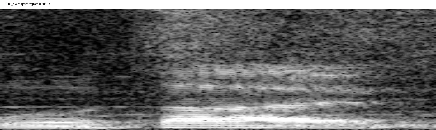 1016_exact_mono_spectrogram.png