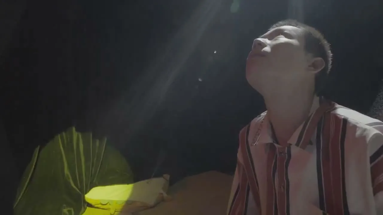 《人类投降派》研究图像